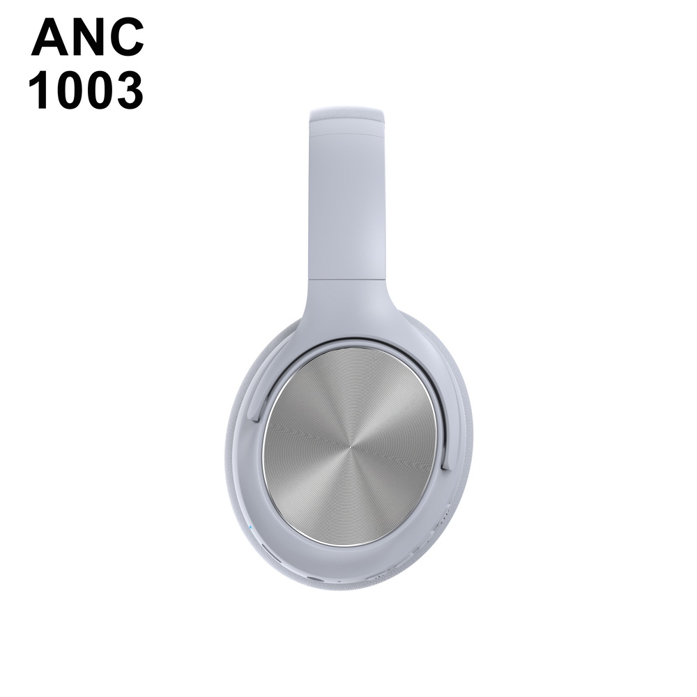 ANC 1003   中端 (8)_调整大小