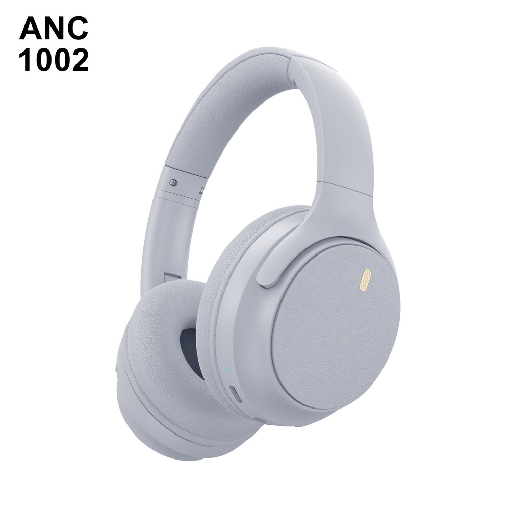 ANC 1002 入门级 (4)_调整大小