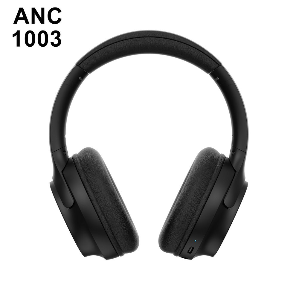 ANC 1003   中端 (2)_调整大小