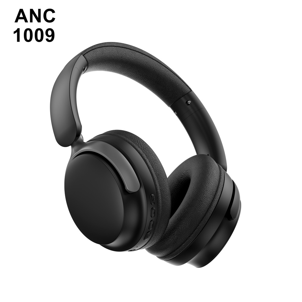 ANC 1009   中端  (1)_调整大小