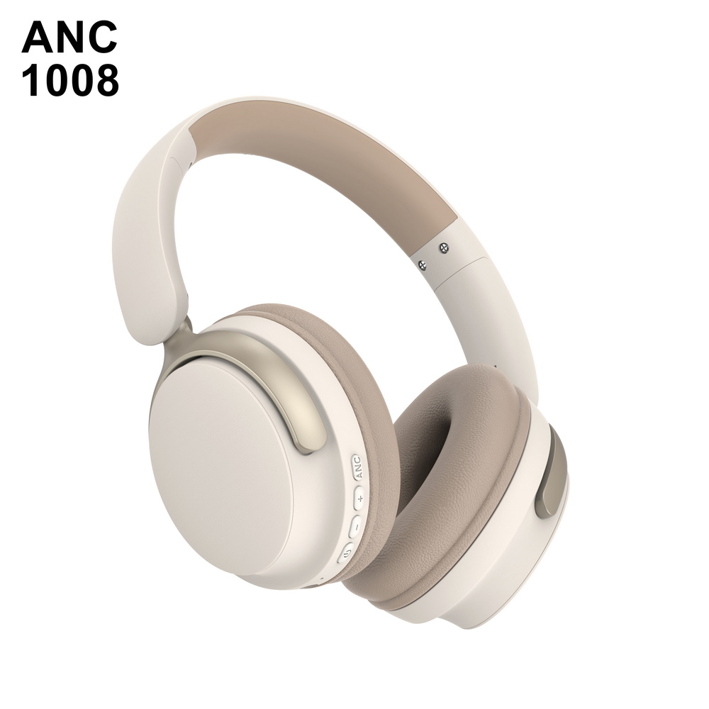 ANC 1008   入门级 (1)_调整大小