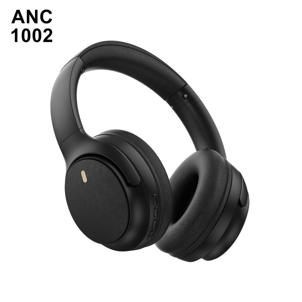 ANC 1002 入门级 (1)_调整大小