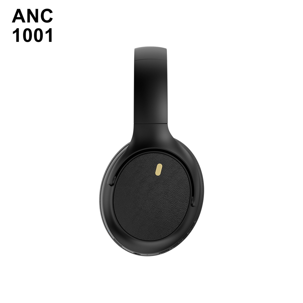 ANC 1001 入门级 (8)_调整大小