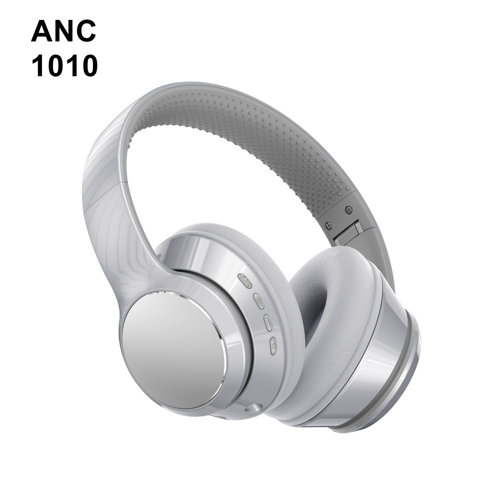 ANC 1010 (4)_调整大小