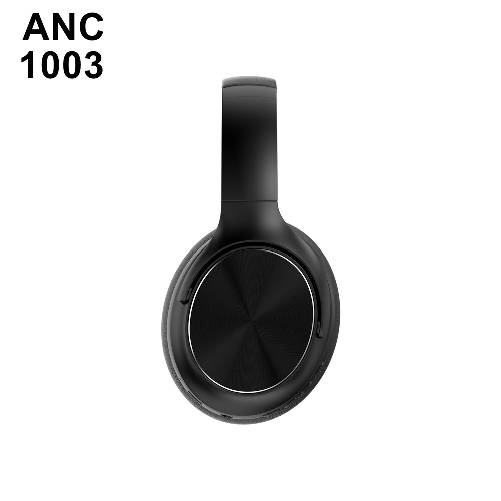 ANC 1003   中端 (7)_调整大小