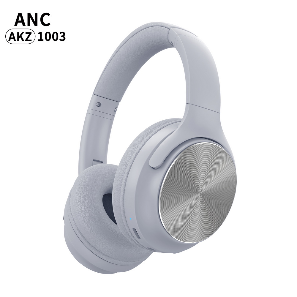 AKZ-1003 (7)_调整大小