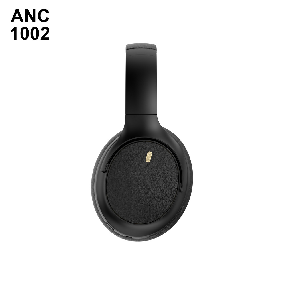 ANC 1002 入门级 (8)_调整大小