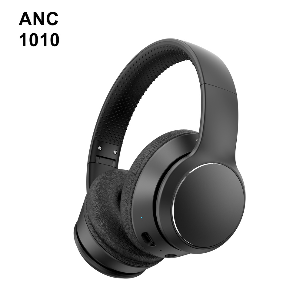 ANC 1010 (3)_调整大小