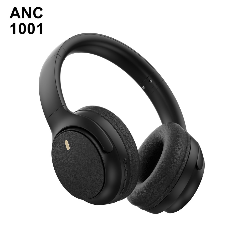 ANC 1001 入门级 (3)_调整大小