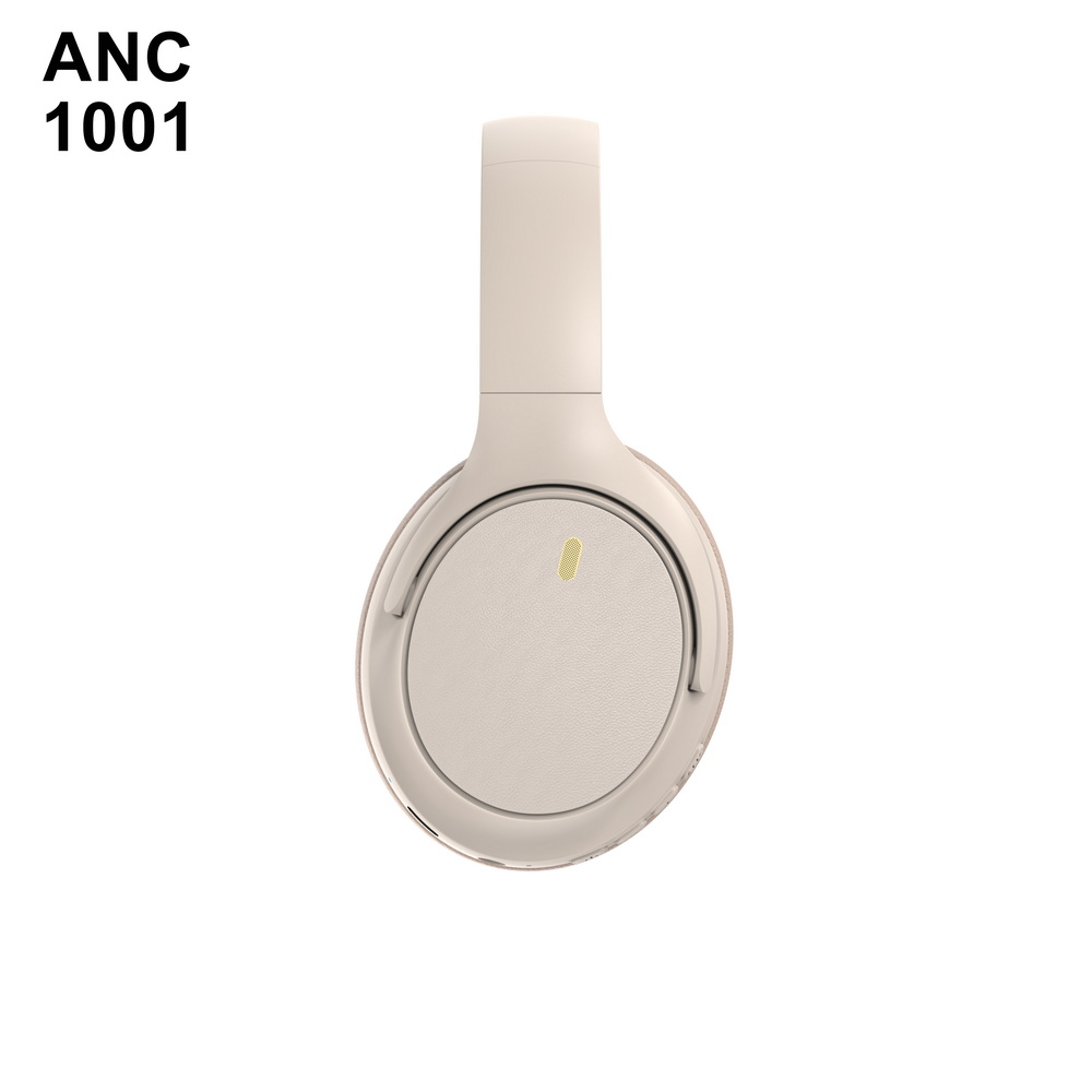 ANC 1001 入门级 (7)_调整大小