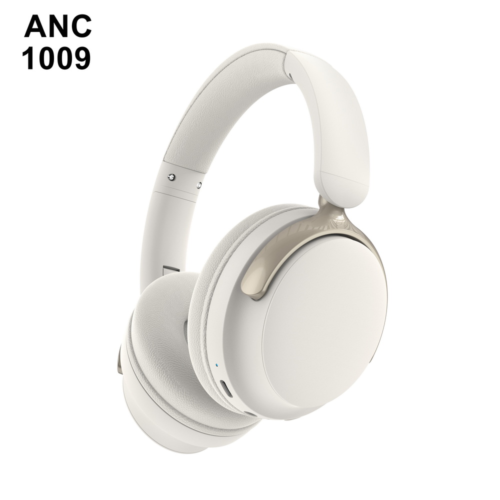 ANC 1009   中端  (6)_调整大小