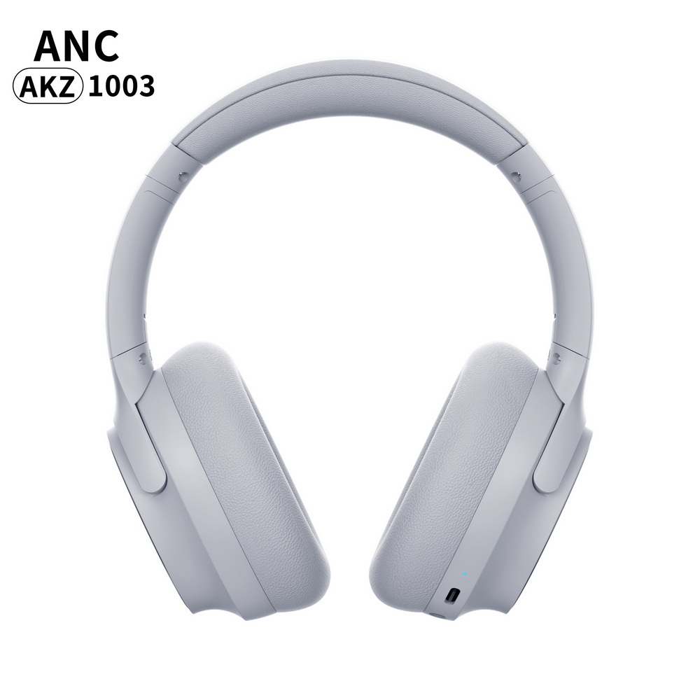 AKZ-1003 (6)_调整大小