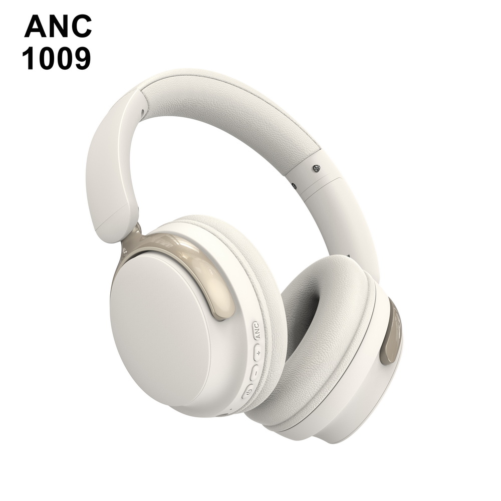 ANC 1009   中端  (4)_调整大小