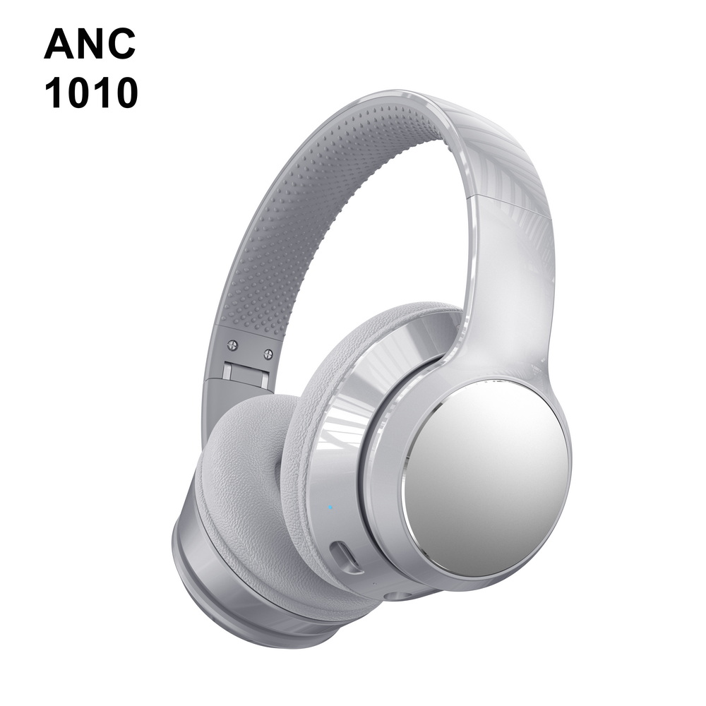 ANC 1010 (6)_调整大小