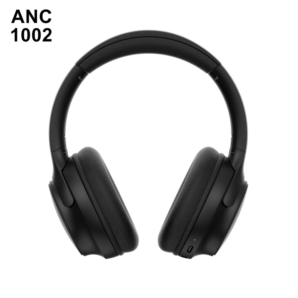 ANC 1002 入门级 (2)_调整大小