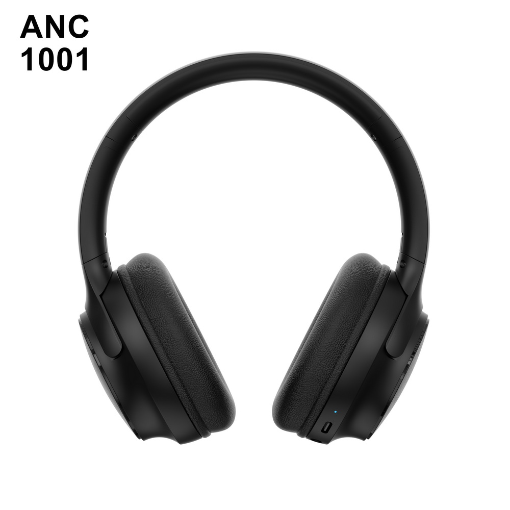 ANC 1001 入门级 (2)_调整大小