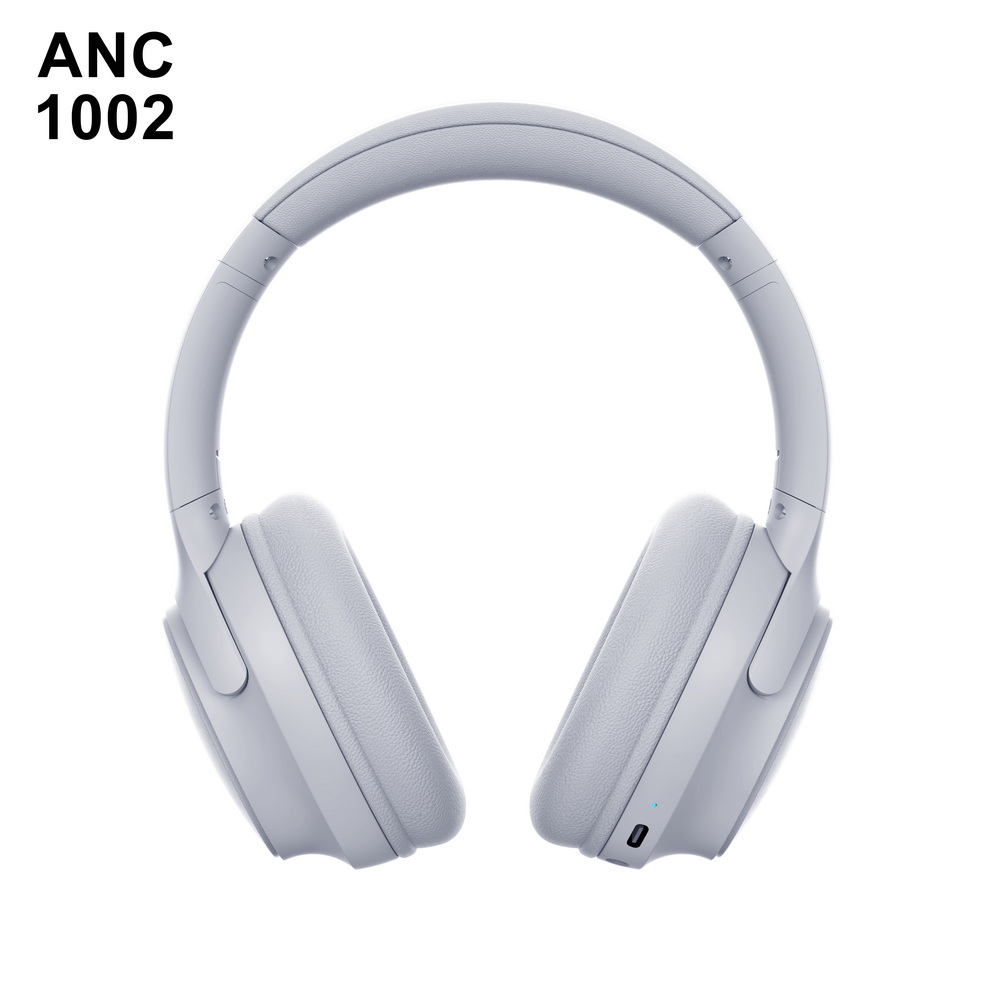 ANC 1002 入门级 (5)_调整大小