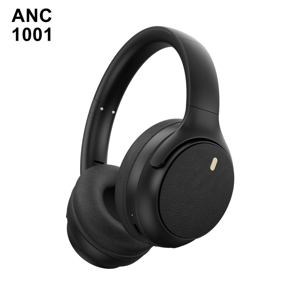 ANC 1001 入门级 (1)_调整大小