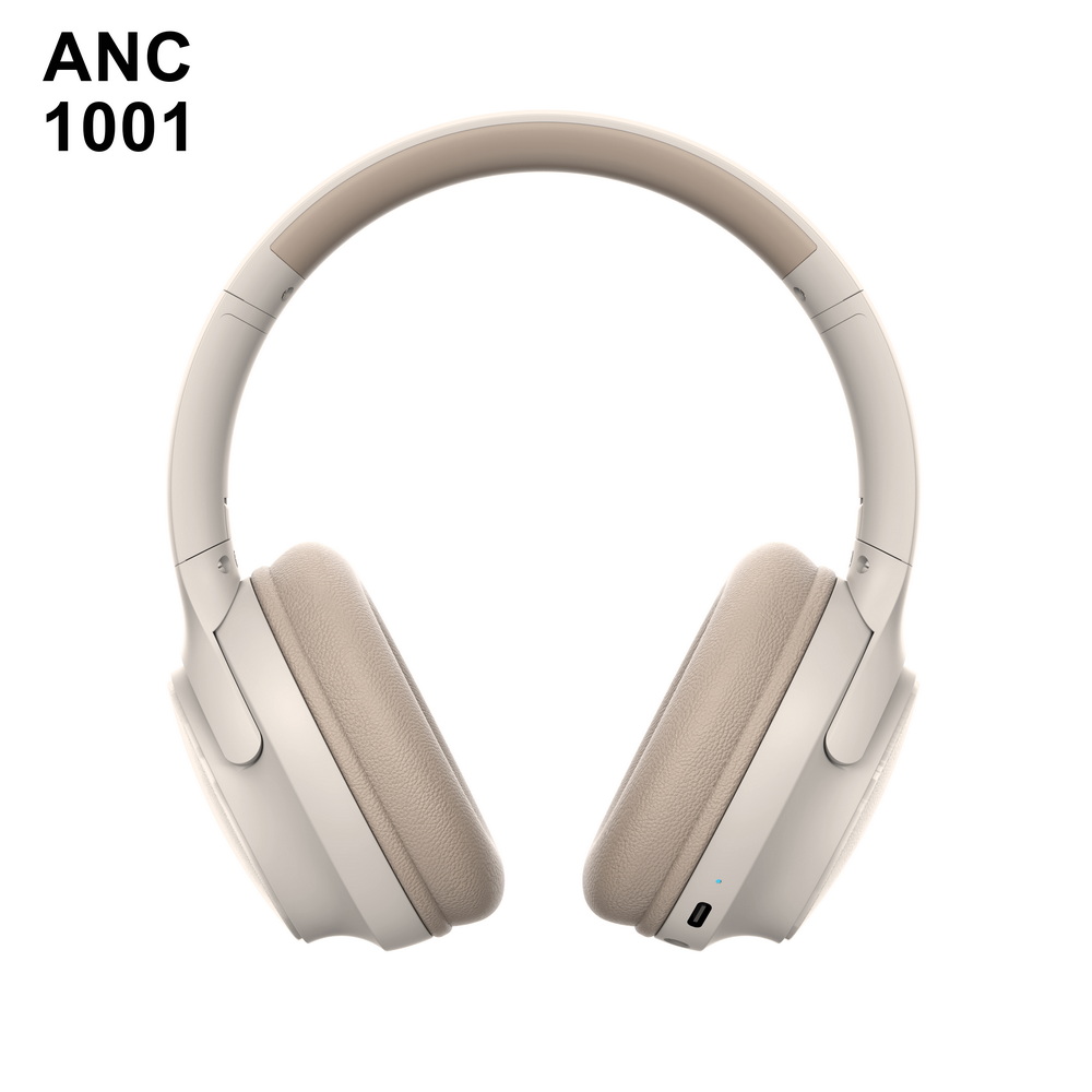 ANC 1001 入门级 (4)_调整大小