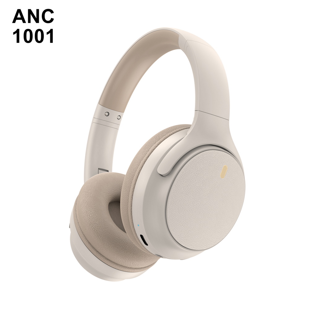 ANC 1001 入门级 (5)_调整大小