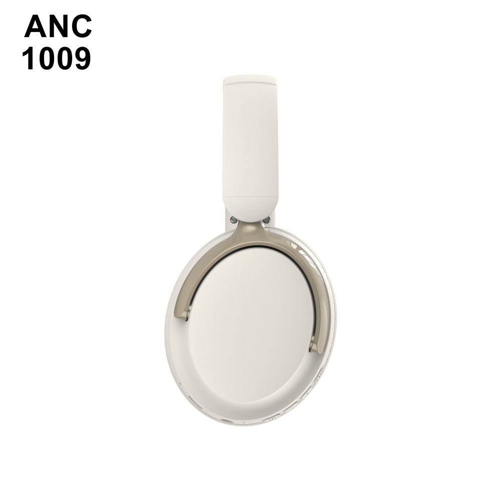 ANC 1009   中端  (7)_调整大小
