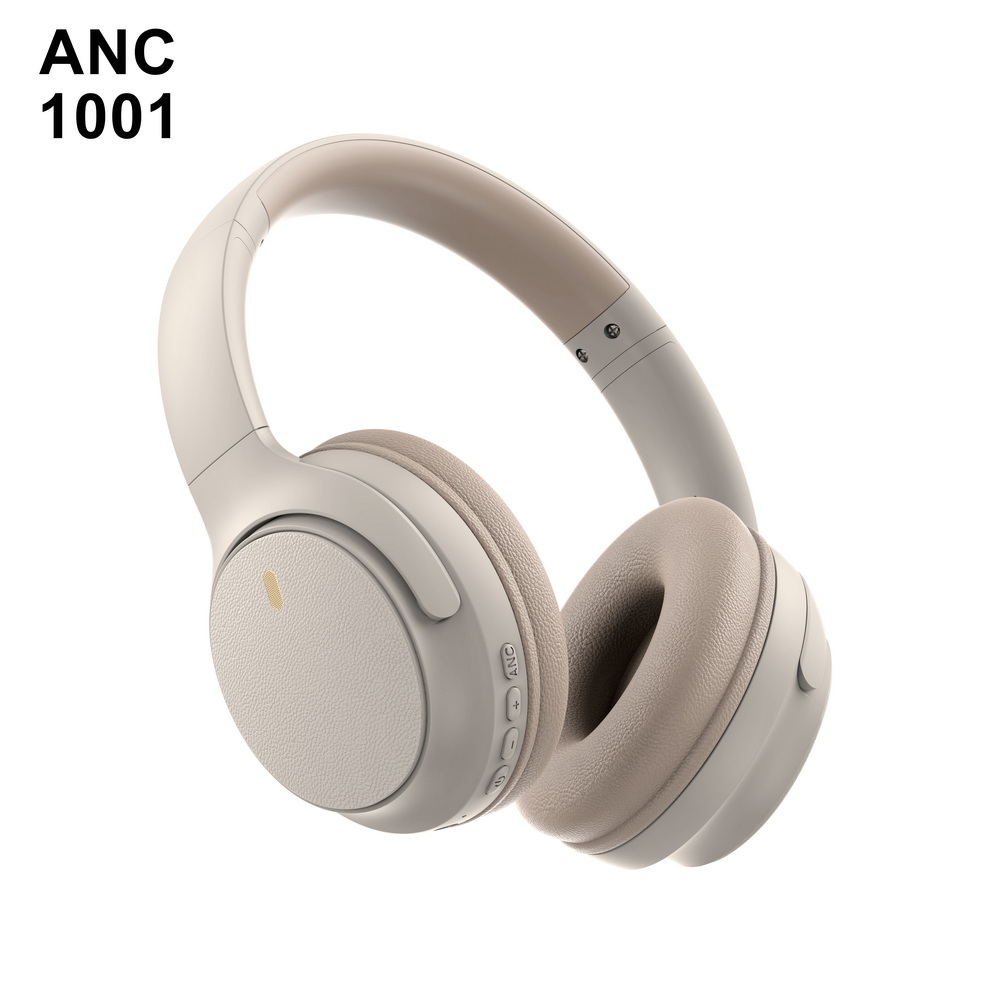 ANC 1001 入门级 (6)_调整大小