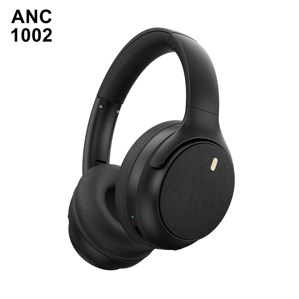 ANC 1002 入门级 (3)_调整大小