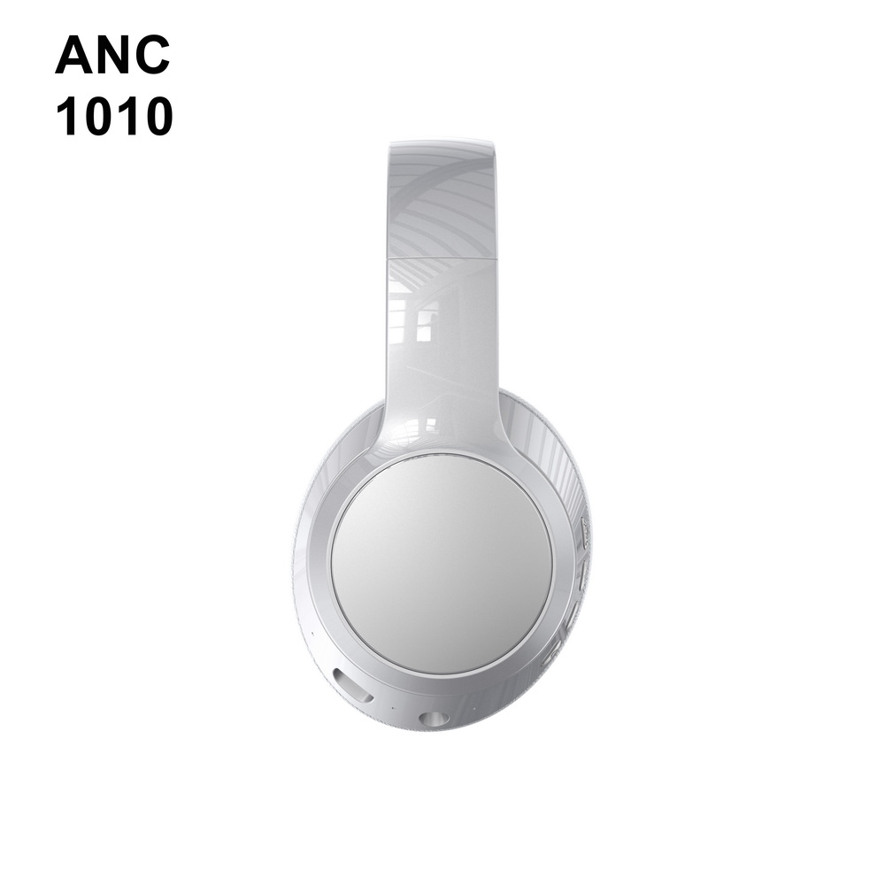 ANC 1010 (7)_调整大小