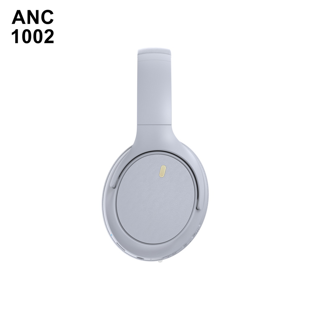 ANC 1002 入门级 (7)_调整大小