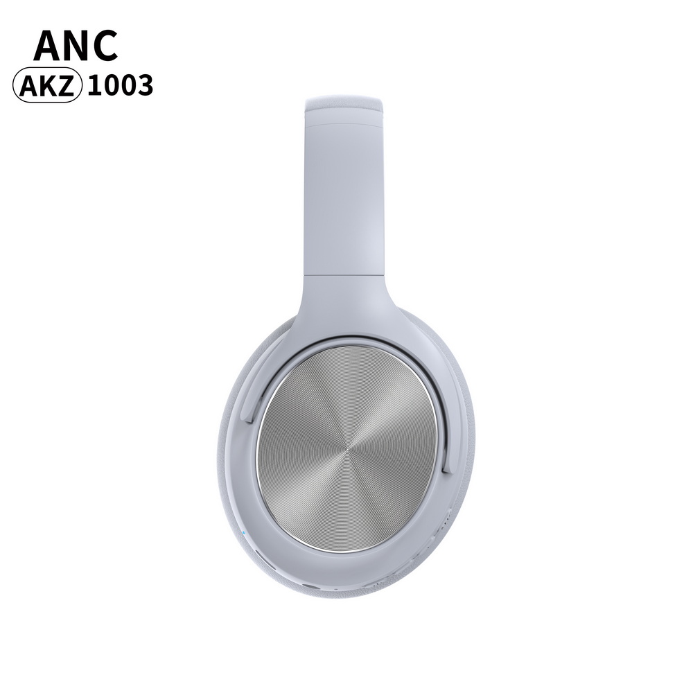 AKZ-1003 (5)_调整大小