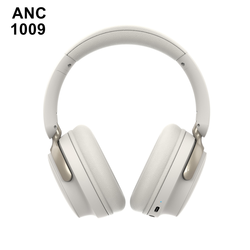 ANC 1009   中端  (5)_调整大小