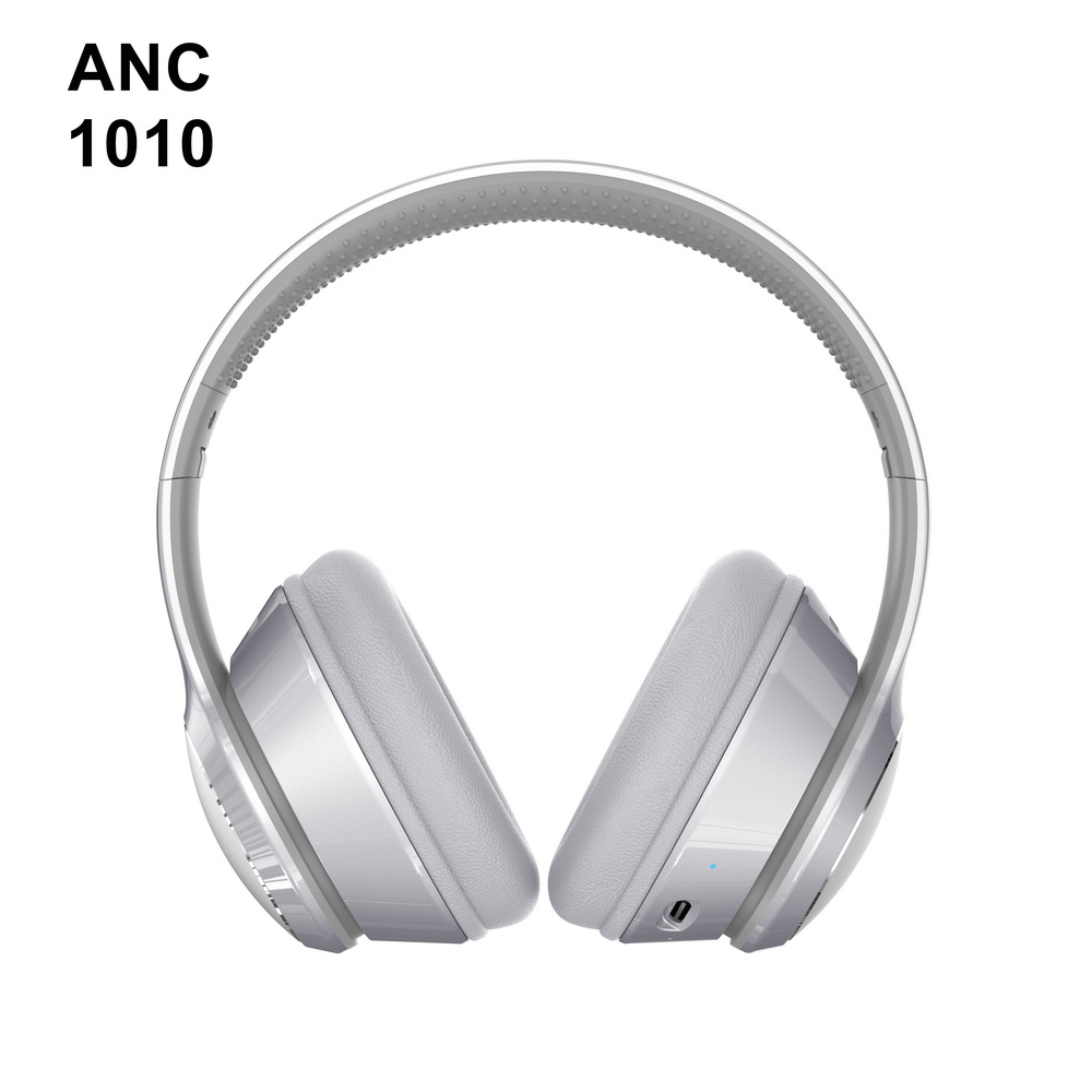 ANC 1010 (5)_调整大小