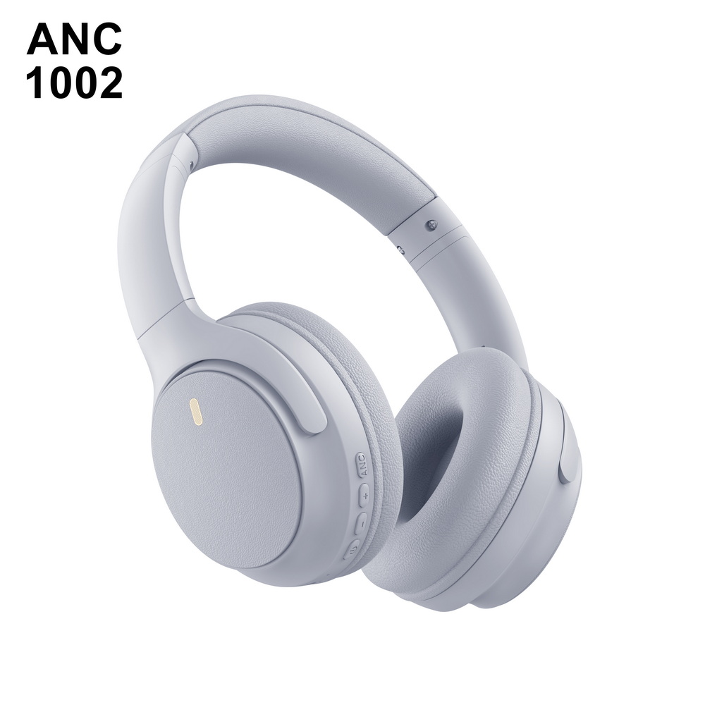 ANC 1002 入门级 (6)_调整大小