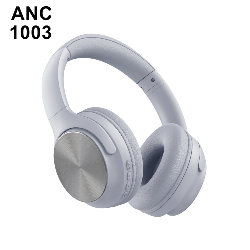 ANC 1003   中端 (4)_调整大小