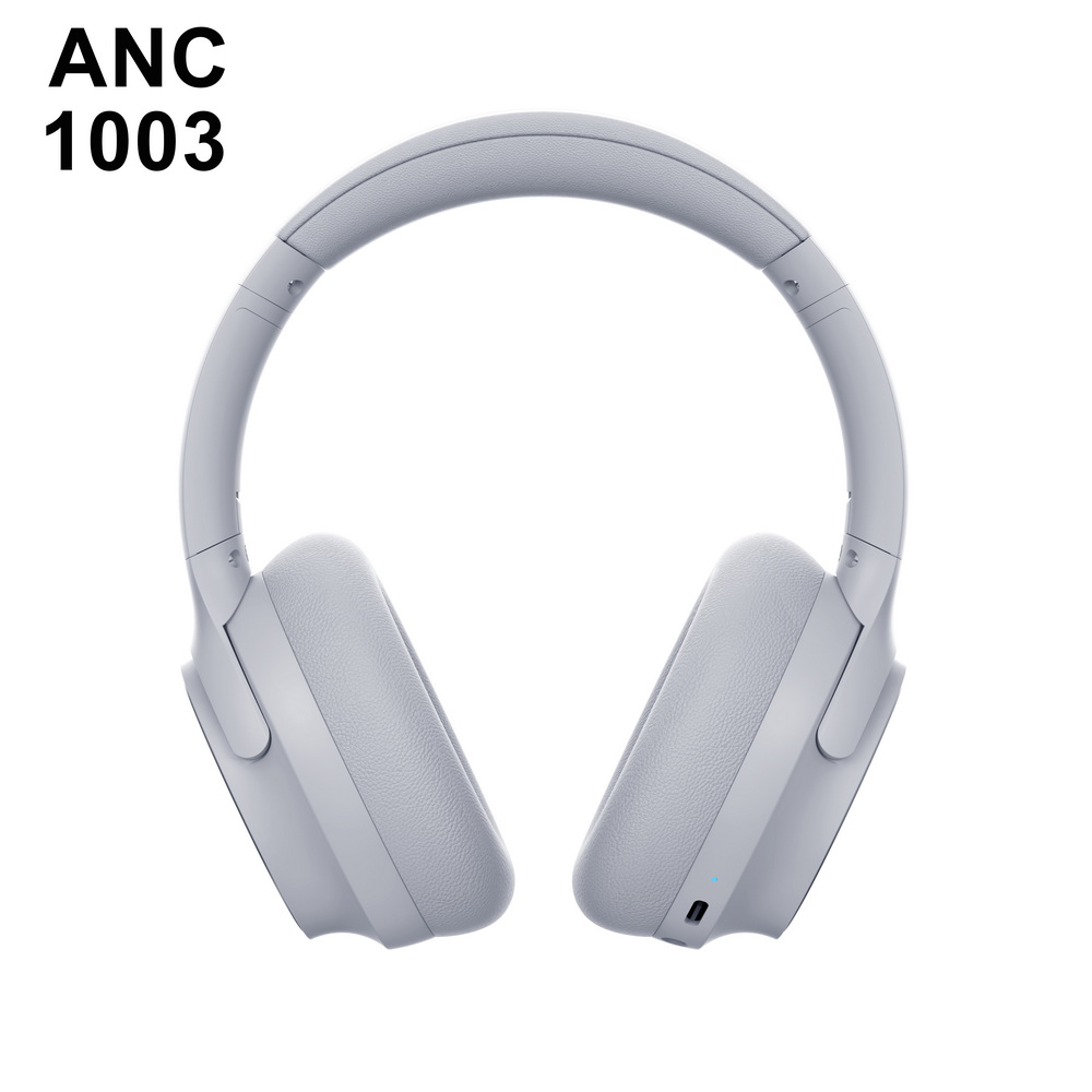 ANC 1003   中端 (5)_调整大小