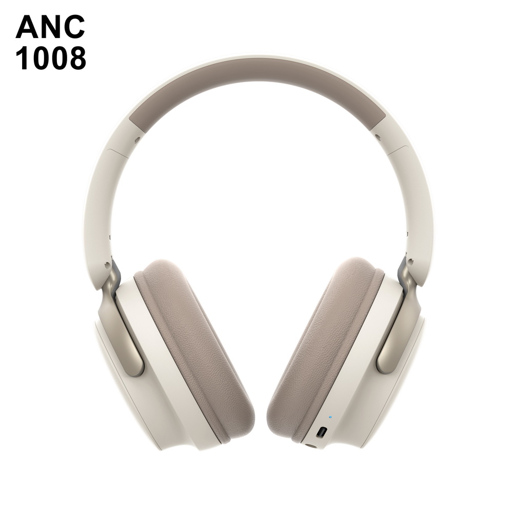 ANC 1008   入门级 (2)_调整大小