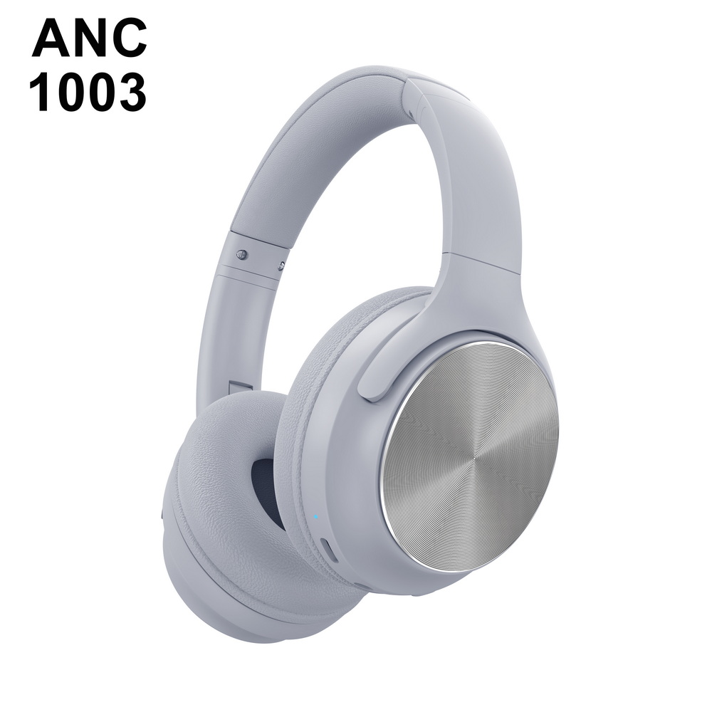ANC 1003   中端 (6)_调整大小