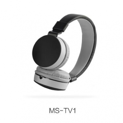 MS-TV1A