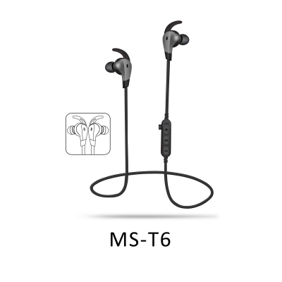 MS-T6