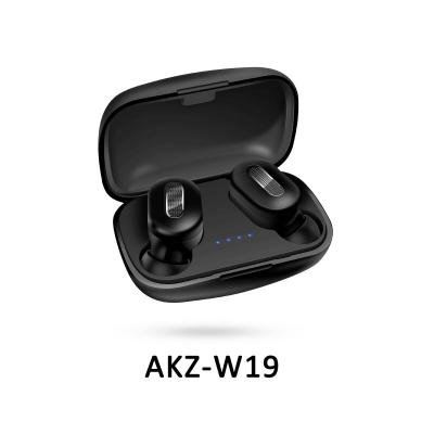 AKZ-W19