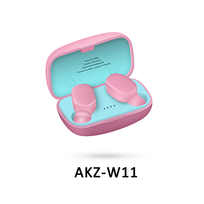 AKZ-W11