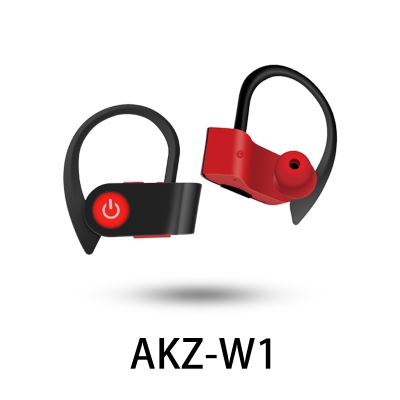 AKZ-W1